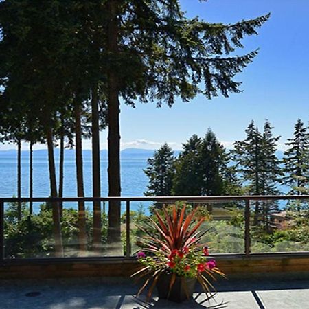 Sunshine Coast Treetop B&Bシーシェルト エクステリア 写真