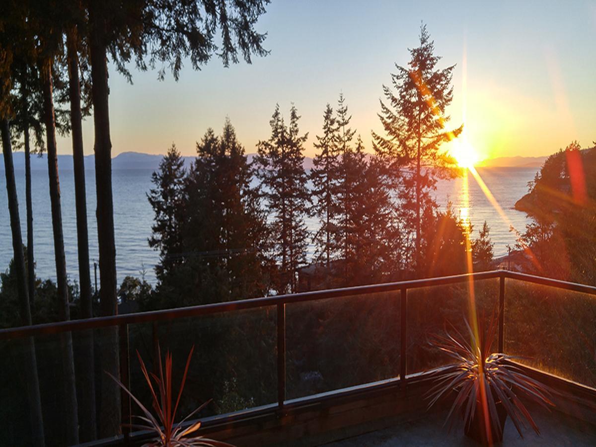 Sunshine Coast Treetop B&Bシーシェルト エクステリア 写真