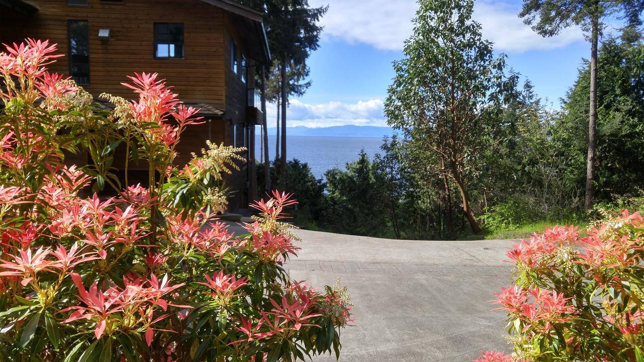 Sunshine Coast Treetop B&Bシーシェルト エクステリア 写真