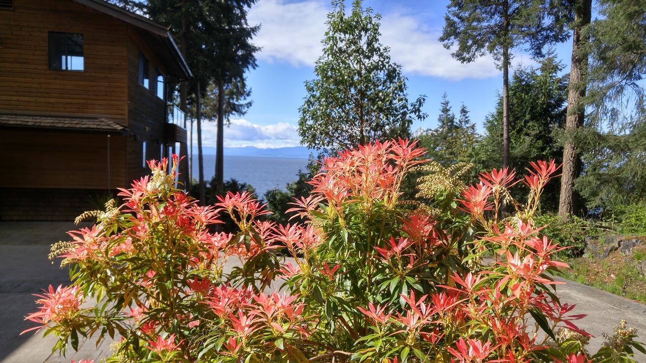 Sunshine Coast Treetop B&Bシーシェルト エクステリア 写真