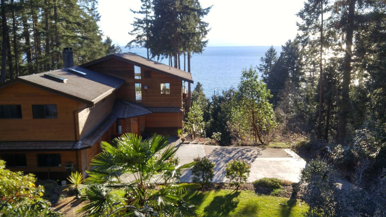 Sunshine Coast Treetop B&Bシーシェルト エクステリア 写真