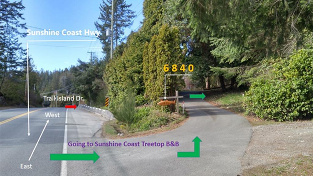 Sunshine Coast Treetop B&Bシーシェルト エクステリア 写真