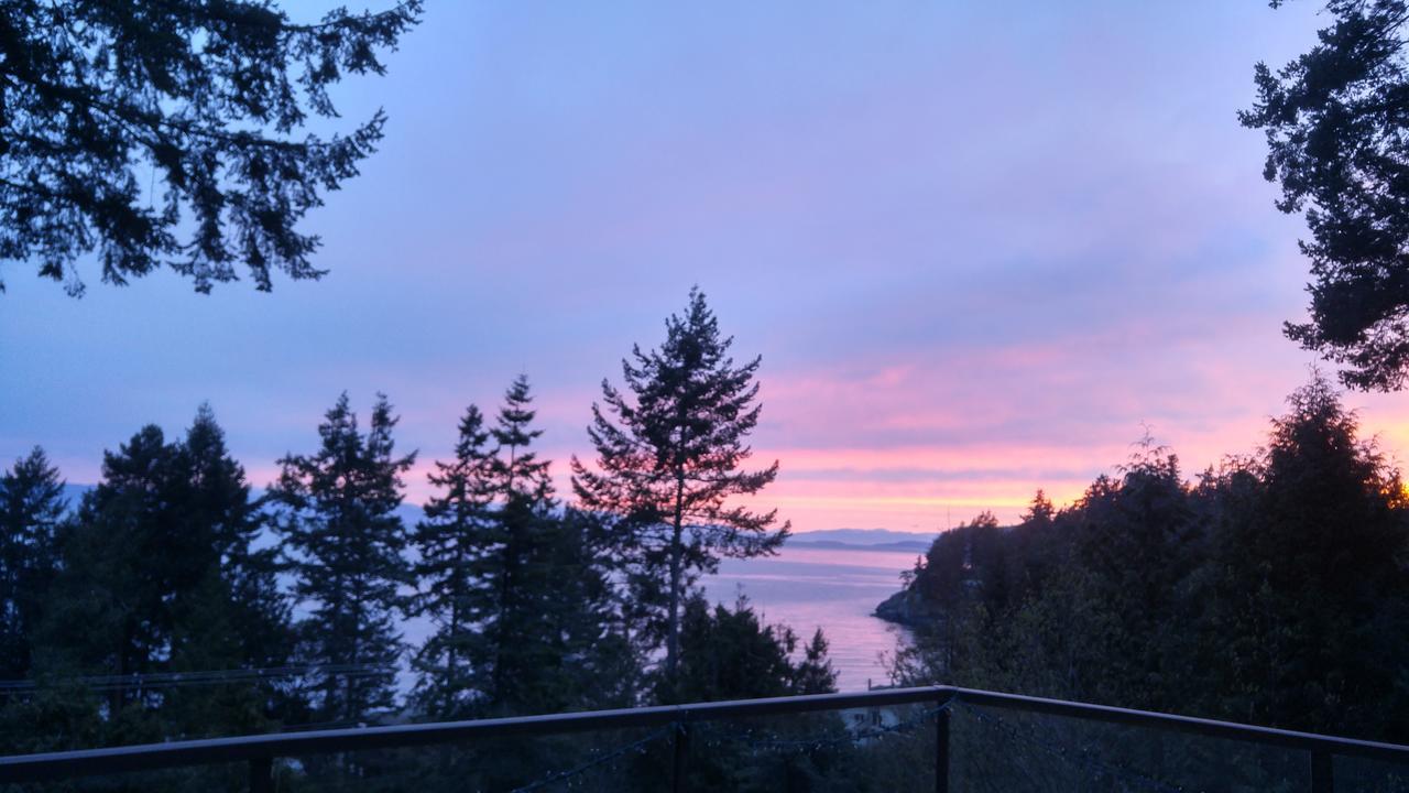 Sunshine Coast Treetop B&Bシーシェルト エクステリア 写真