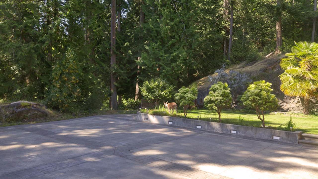 Sunshine Coast Treetop B&Bシーシェルト エクステリア 写真