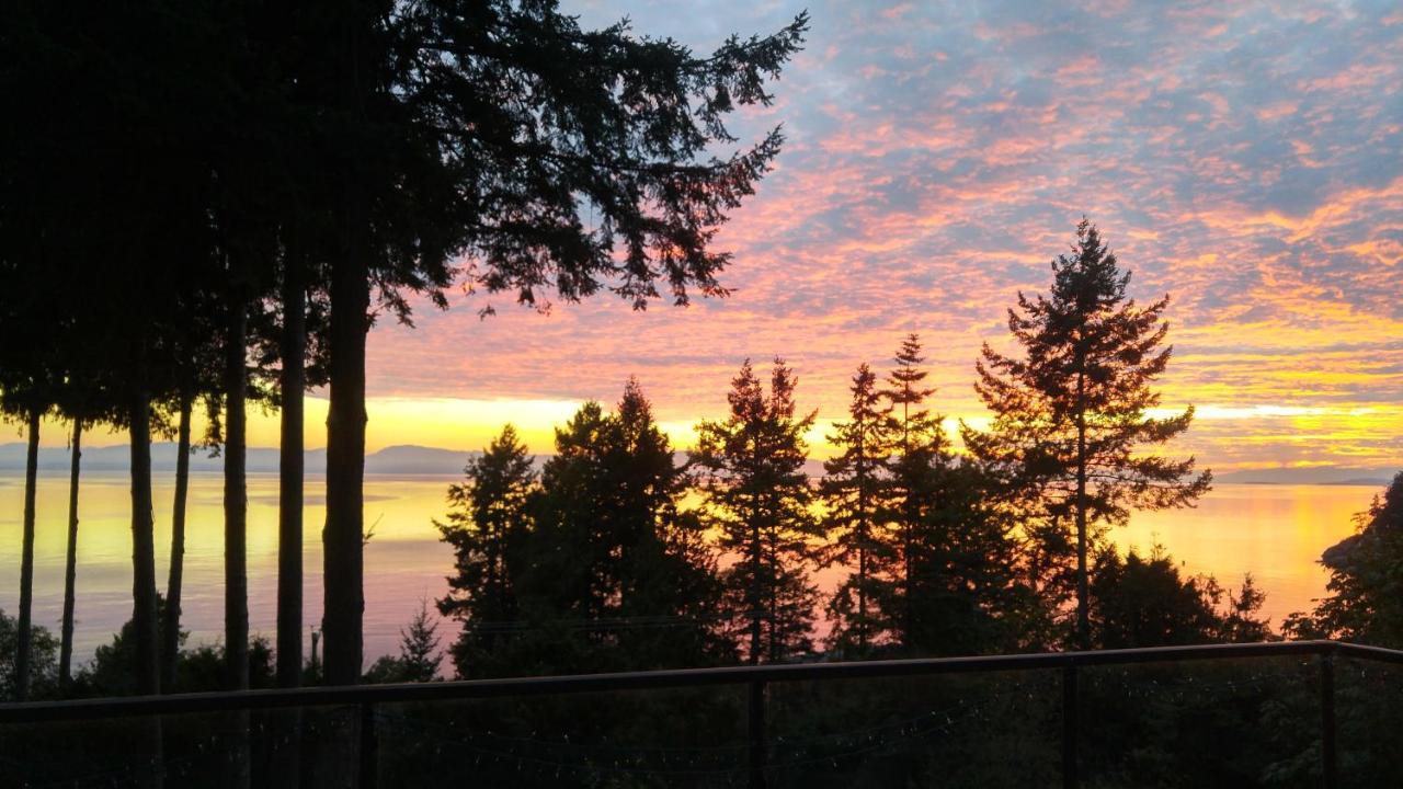 Sunshine Coast Treetop B&Bシーシェルト エクステリア 写真