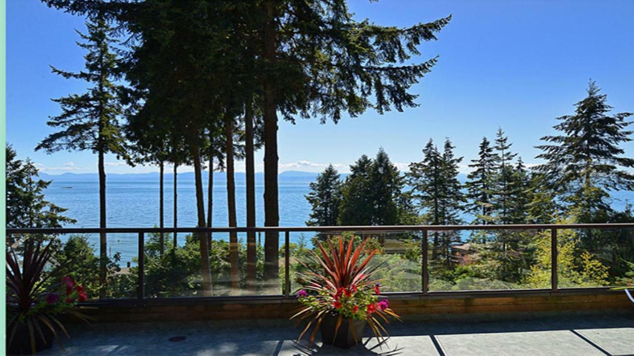 Sunshine Coast Treetop B&Bシーシェルト エクステリア 写真